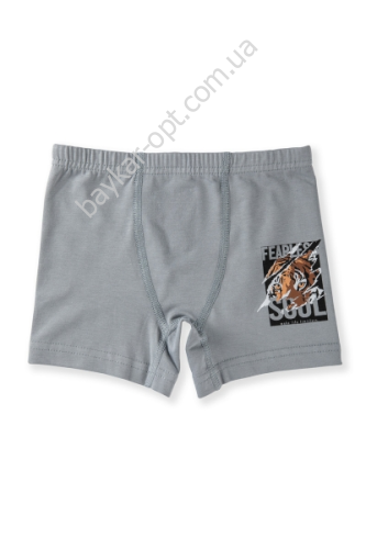 ТРУСЫ ДЕТСКИЕ ДЛЯ МАЛЬЧИКА ТРУСЫ ДЕТСКИЕ ДЛЯ МАЛЬЧИКА